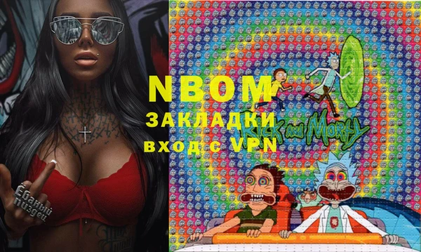 дмт Алзамай