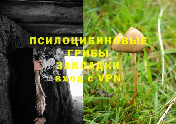 гидропоника Алексин