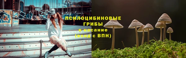 гидропоника Алексин