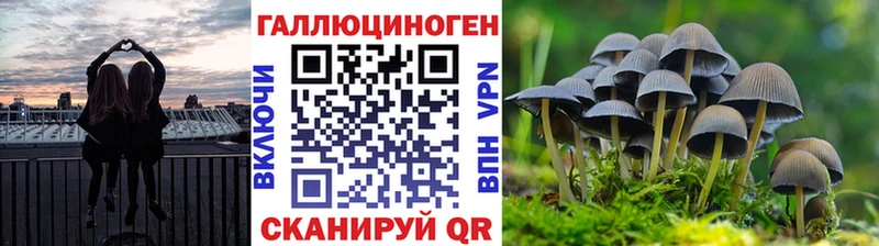 hydra маркетплейс  Южно-Сахалинск  Псилоцибиновые грибы ЛСД 