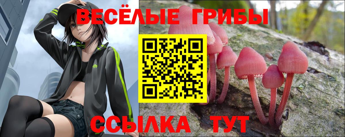 Псилоцибиновые грибы мухоморы  Галлюциногенные грибы Cubensis  Вход с VPN  Южно-Сахалинск 